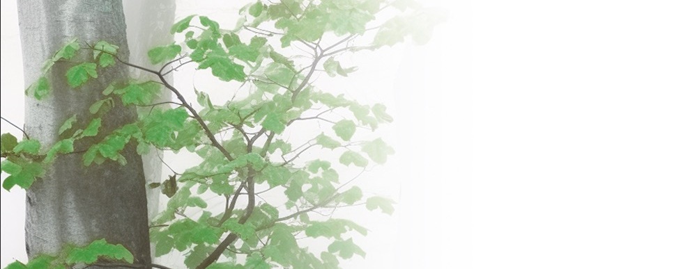 Group Facilitator Training Course